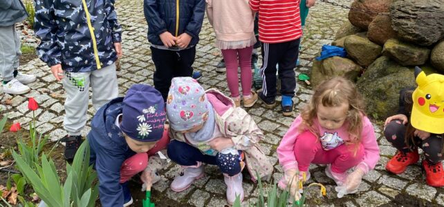 Światowy Dzień Ziemi w grupie młodszej. Światowy Dzień Ziemi w grupie młodszej.
