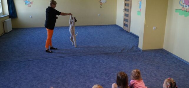 Zajęcia z psem. Zajęcia z psem.