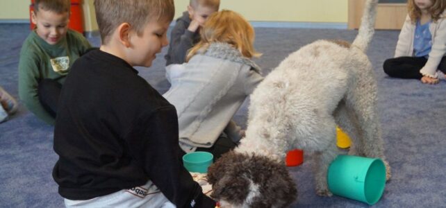 Zajęcia z psami… Zajęcia z psami…