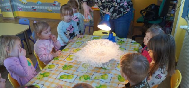 Wielka Przygoda w Świecie Dinozaurów u „Stokrotek”!