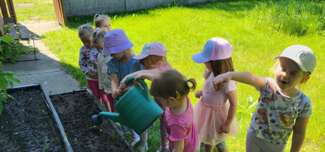 Mini ogródek ;) Mini ogródek ;)